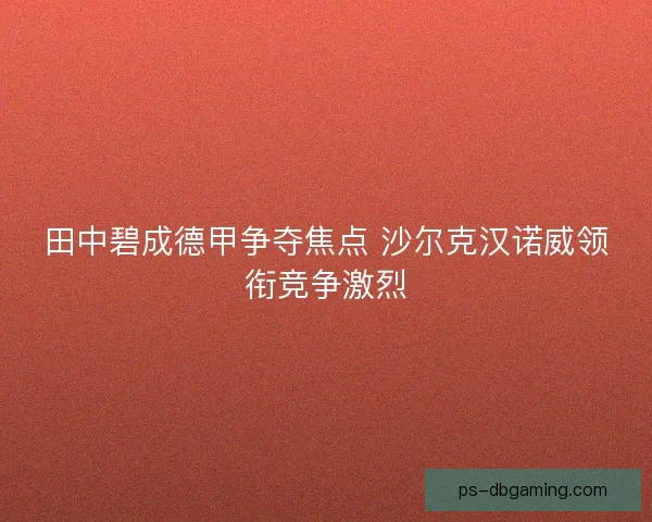 田中碧成德甲争夺焦点 沙尔克汉诺威领衔竞争激烈