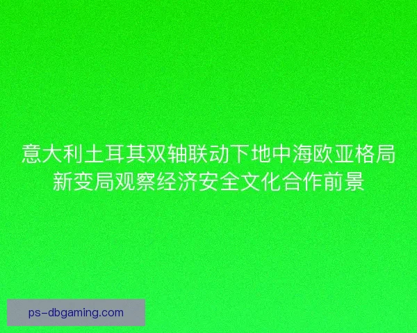 意大利土耳其双轴联动下地中海欧亚格局新变局观察经济安全文化合作前景